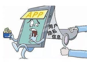 貝貝網(wǎng)信息安全漏洞引關(guān)注 用戶隱私風(fēng)險(xiǎn)與網(wǎng)絡(luò)防護(hù)策略分析